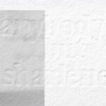 Anybody but Sharlene - detail 4 (2008), Sharlene Khan