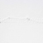 Westernised,Educated,Bitch - detail 1 (2008), Sharlene Khan