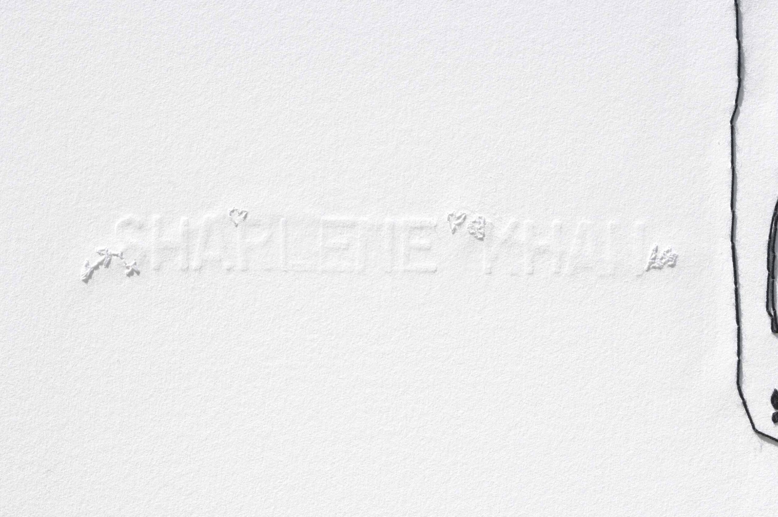 Westernised,Educated,Bitch - detail 1 (2008), Sharlene Khan