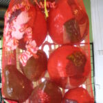 Street Children's Mobile XIII (2007), Sharlene Khan